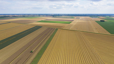 BUITEN BEELD Foto: 375712