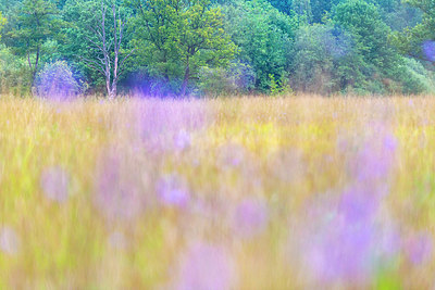 BUITEN BEELD Foto: 376033