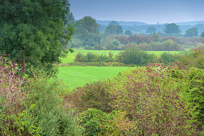 BUITEN BEELD Foto: 376038