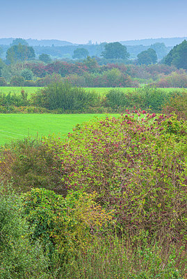 BUITEN BEELD Foto: 376041