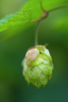 BUITEN BEELD Foto: 376045