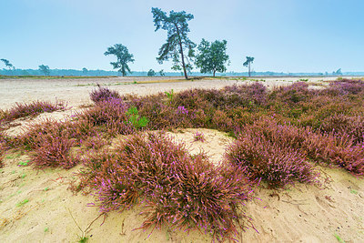 BUITEN BEELD Foto: 376110