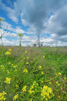 BUITEN BEELD Foto: 376155