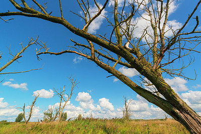 BUITEN BEELD Foto: 376160