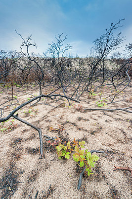 BUITEN BEELD Foto: 376187