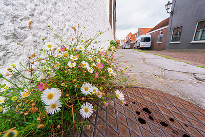 BUITEN BEELD Foto: 376251