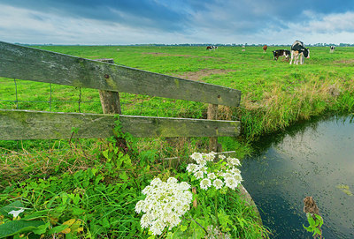 BUITEN BEELD Foto: 376259