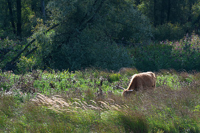 BUITEN BEELD Foto: 376270