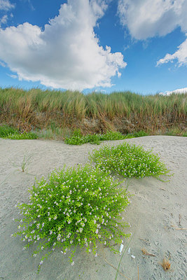 BUITEN BEELD Foto: 376297