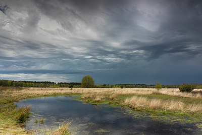 BUITEN BEELD Foto: 376337