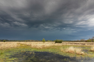 BUITEN BEELD Foto: 376339