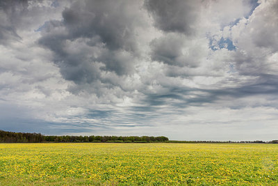 BUITEN BEELD Foto: 376357