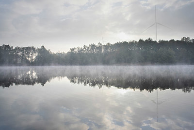 BUITEN BEELD Foto: 376363