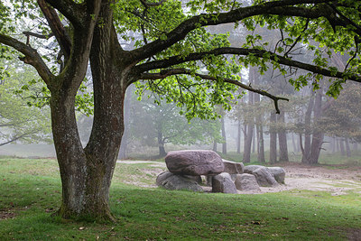 BUITEN BEELD Foto: 376367