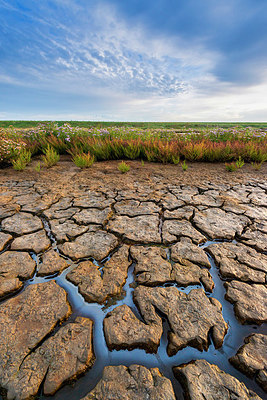 BUITEN BEELD Foto: 376376