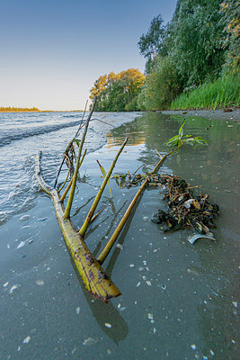 BUITEN BEELD Foto: 376388