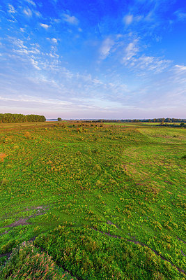 BUITEN BEELD Foto: 376391