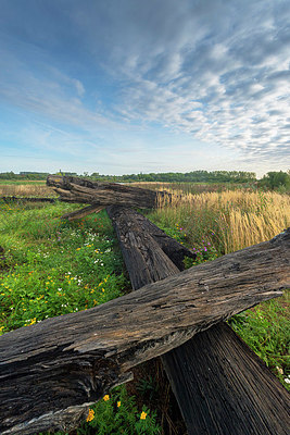 BUITEN BEELD Foto: 376453