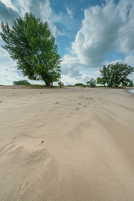 BUITEN BEELD Foto: 376481