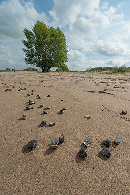 BUITEN BEELD Foto: 376484