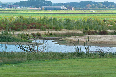 BUITEN BEELD Foto: 376531