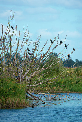 BUITEN BEELD Foto: 376533