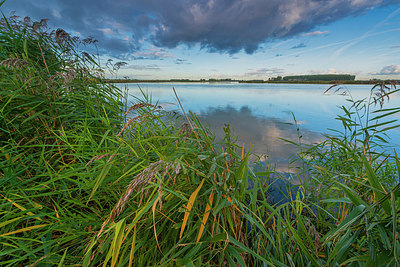 BUITEN BEELD Foto: 376535