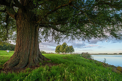 BUITEN BEELD Foto: 376537