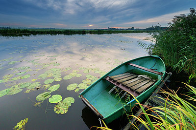 BUITEN BEELD Foto: 376547