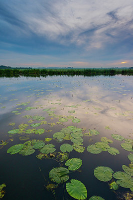 BUITEN BEELD Foto: 376548