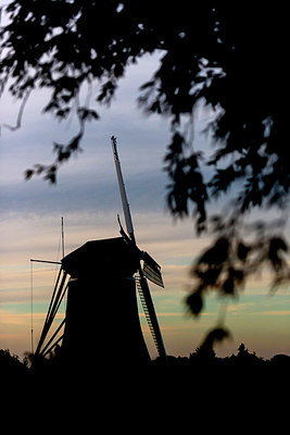 BUITEN BEELD Foto: 376552