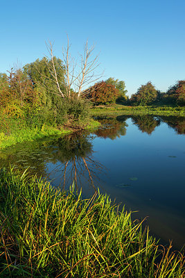 BUITEN BEELD Foto: 376575