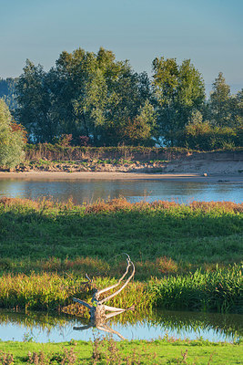 BUITEN BEELD Foto: 376581