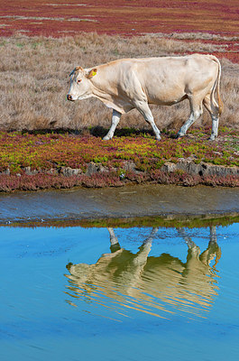 BUITEN BEELD Foto: 376594