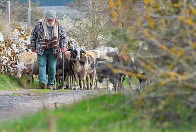 BUITEN BEELD Foto: 376656