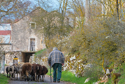 BUITEN BEELD Foto: 376658