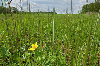 BUITEN BEELD Foto: 377044