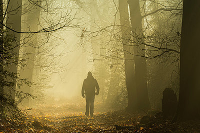 BUITEN BEELD Foto: 377052