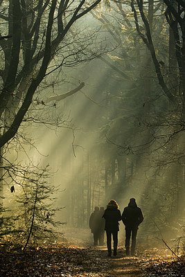 BUITEN BEELD Foto: 377055