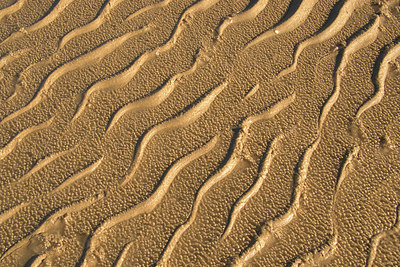 BUITEN BEELD Foto: 377690