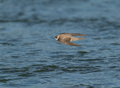 BUITEN BEELD Foto: 377859