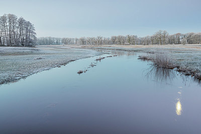 BUITEN BEELD Foto: 377874