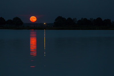 BUITEN BEELD Foto: 377878