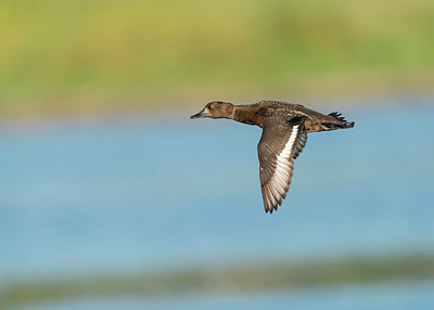 BUITEN BEELD Foto: 377895