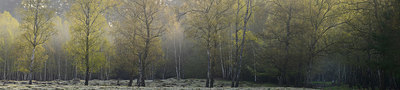 BUITEN BEELD Foto: 377910
