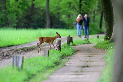 BUITEN BEELD Foto: 377913