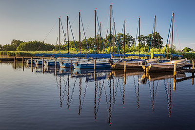 BUITEN BEELD Foto: 378295
