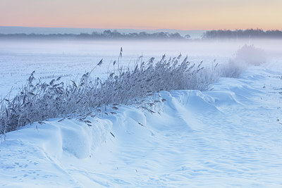 BUITEN BEELD Foto: 378564