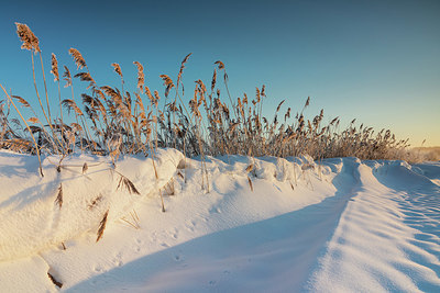 BUITEN BEELD Foto: 378646