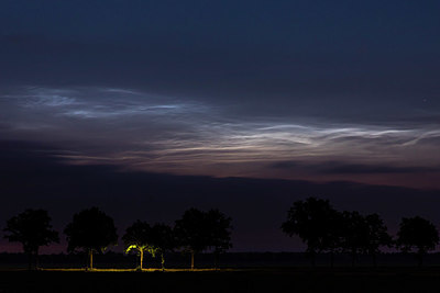 BUITEN BEELD Foto: 378901
